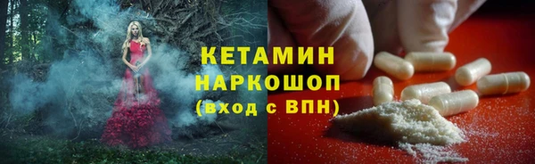 сатива Аркадак