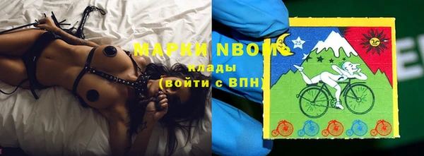прущие грибы Михайловск