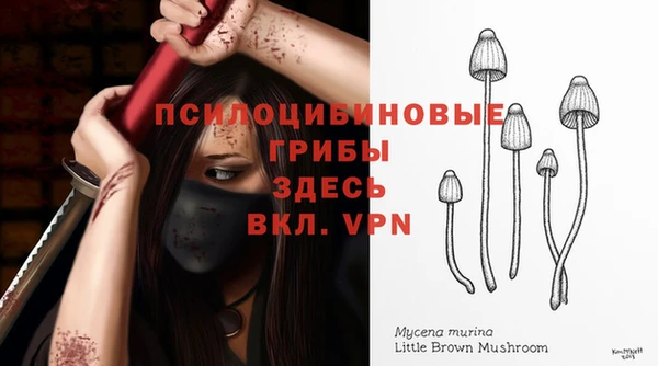 таблы Алзамай
