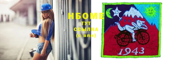 сатива Аркадак