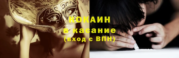 сатива Аркадак