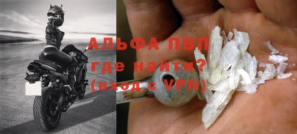 сатива Аркадак