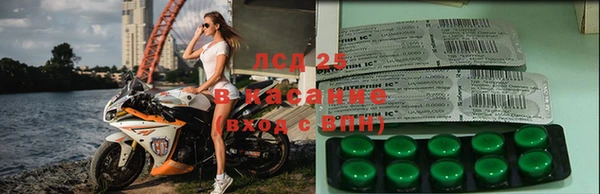 сатива Аркадак